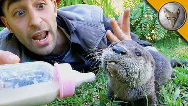S01:E04 - Chow Time: Baby Otters & Kinkajous