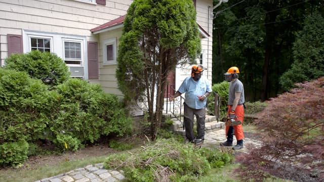 S23:E10 - Trash Insert, Arborvitae Removal