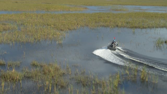 S01:E04 - Explore the Everglades, Uncover an Underwater Playground in Florida