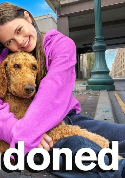 S07:E06 - Rescued Lost Dog: Will I Keep Him? poster