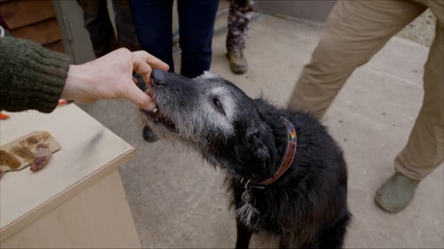 S07:E09 - Filling the Freezer for an Historic Banquet