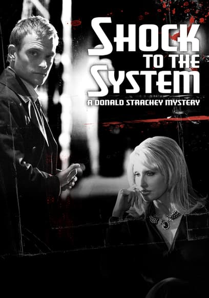 Shock to the System: A Donald Strachey Mystery