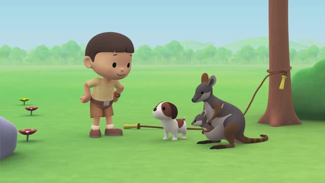 S01:E29 - Yellow-Footed Rock Wallaby