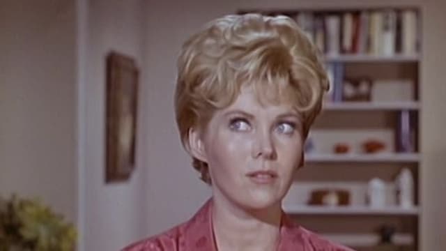 S04:E21 - Hazel's Day in Court