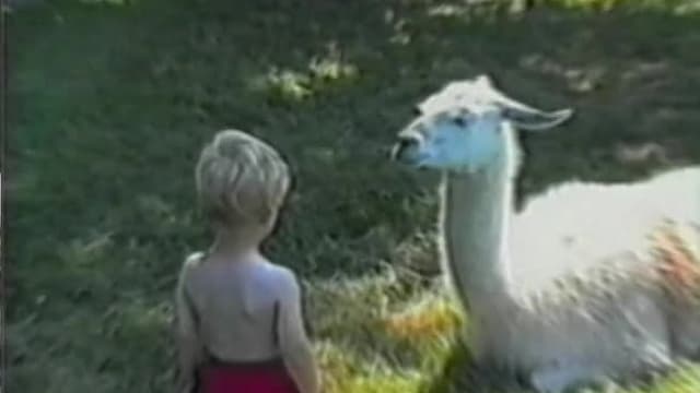 S02:E22 - Episode 22