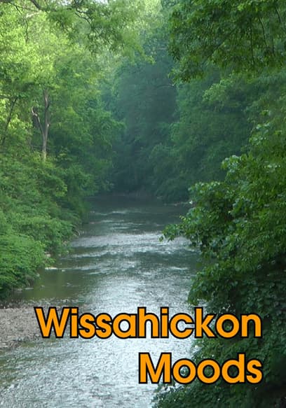 Wissahickon Moods