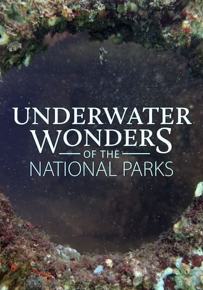 Underwater Wonders of the National Parks