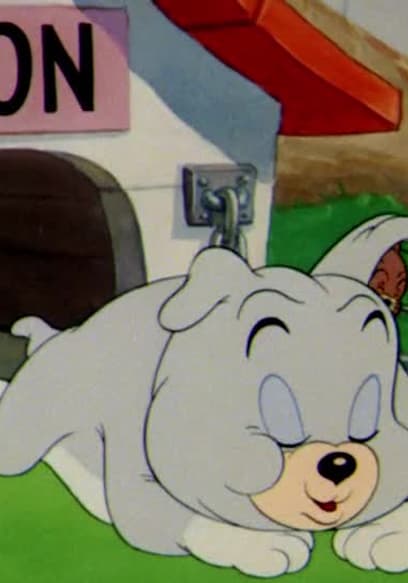 S06:E07 - The Little Wise Quacker / Love That Pup / Mice Follies poster