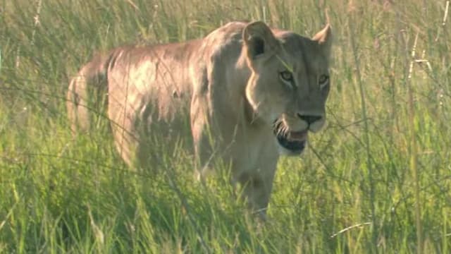 S01:E01 - Episodio 1