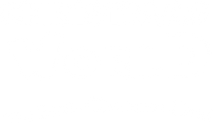 Christmas World: The Bird's Christmas Carol