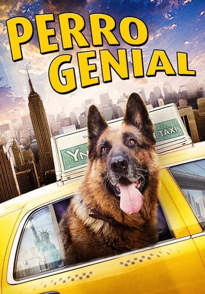 Perro Genial (Doblado)