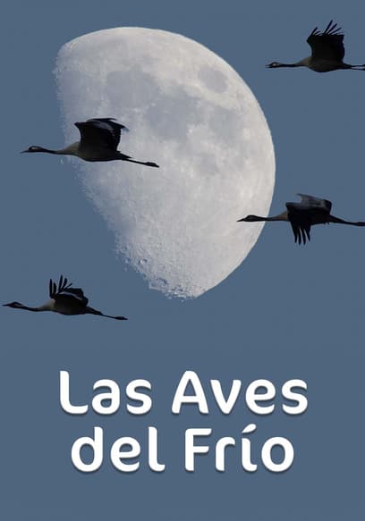 Las Aves del Frío