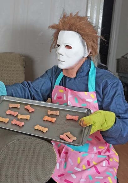 S01:E10 - Dogs, Cooking, and Larger-Than-Life Pranks poster