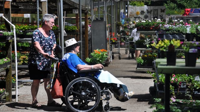 S01:E02 - Therapeutic Gardens
