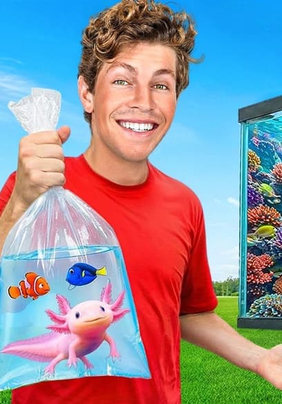 S03:E07 - Tiny vs Giant Fish Tanks poster