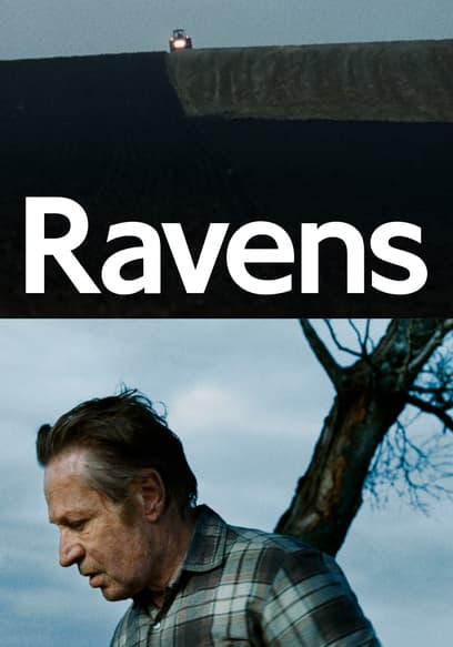 Ravens