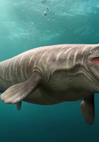 S01:E08 - This Giant Prehistoric Sea Lizard Dominated the Oceans poster