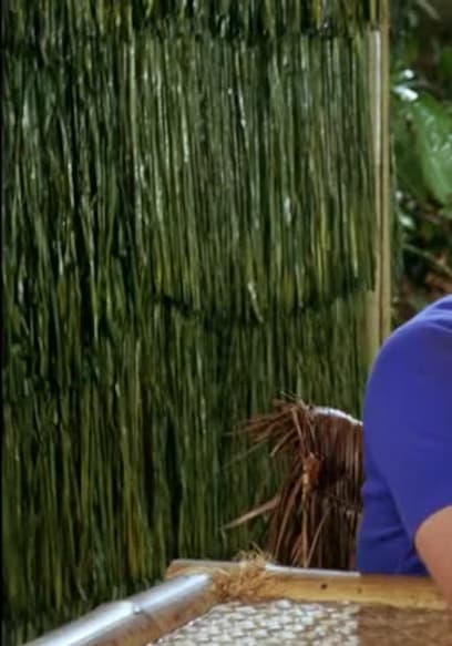 S02:E21 - Gilligan's Living Doll poster