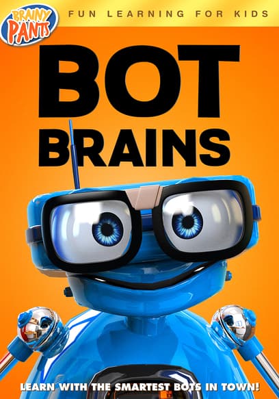 Bot Brains