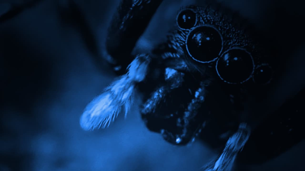 Watch S01:E01 - The Regenerators