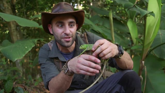 S03:E06 - Most Beautiful Snake in the World