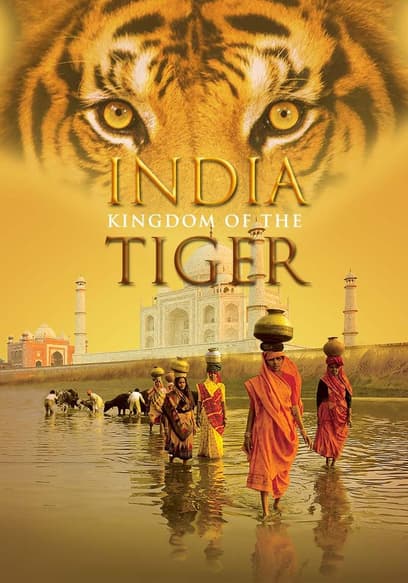 India: Kingdom of the Tiger