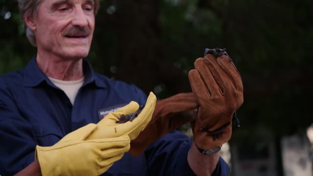 S01:E15 - Urban Wildlife