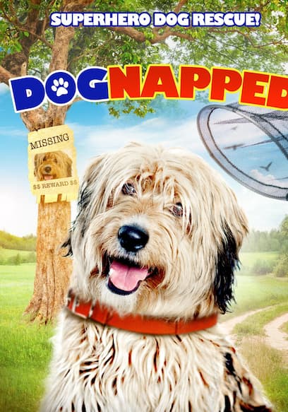Dognapped