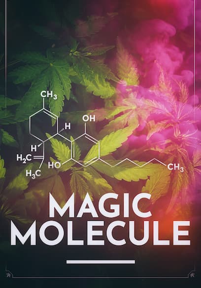 Magic Molecule