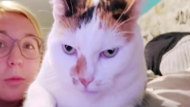 S01:E06 - Top 10 Animal Arguments