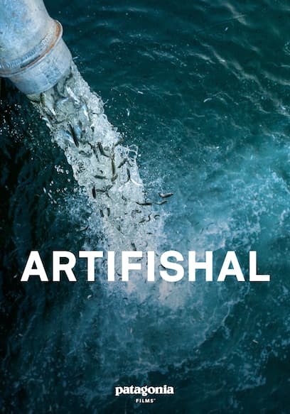 Artifishal poster