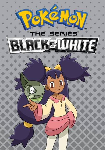 Pokémon the Series: Black & White