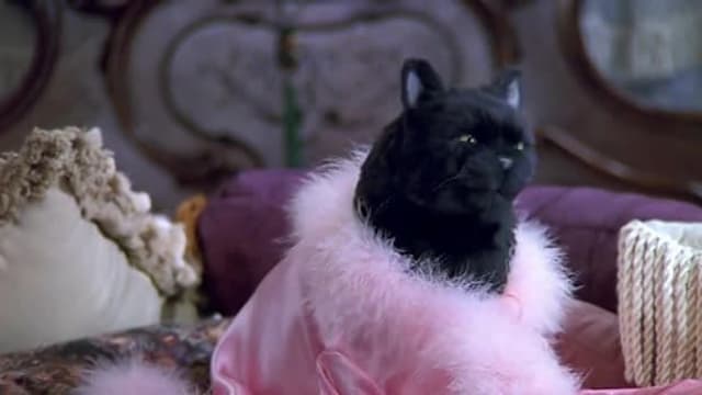 S04:E11 - Ice Station Sabrina