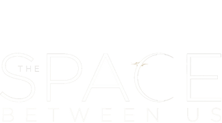 The Space Between Us