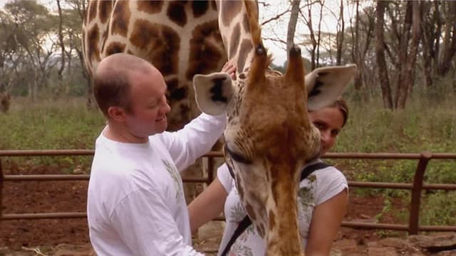 S01:E20 - Lynne Model Giraffe