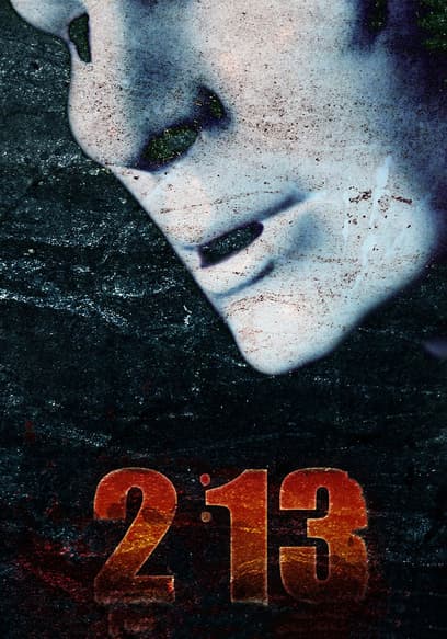 Two:Thirteen poster