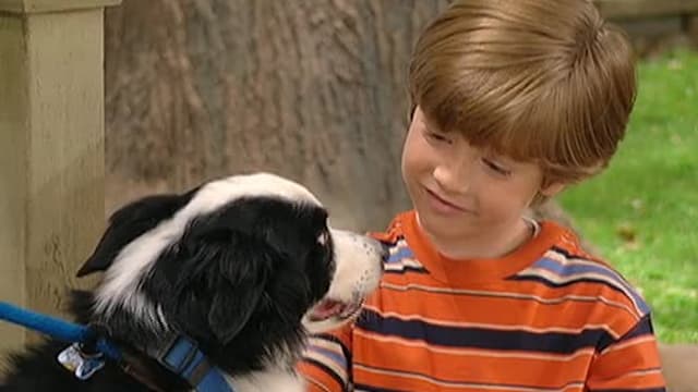 S10:E09 - Mascotas / Veterinarios