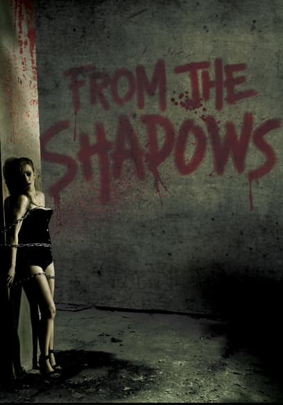 From the Shadows poster