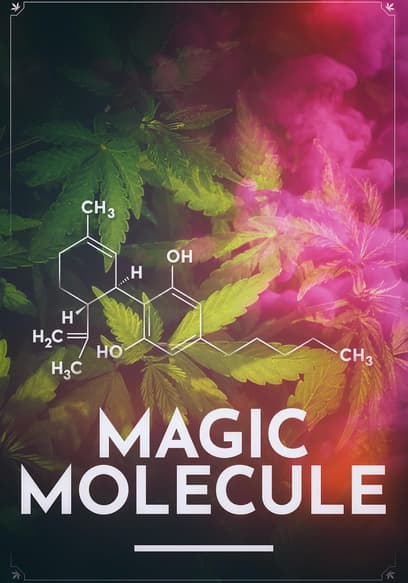 Magic Molecule