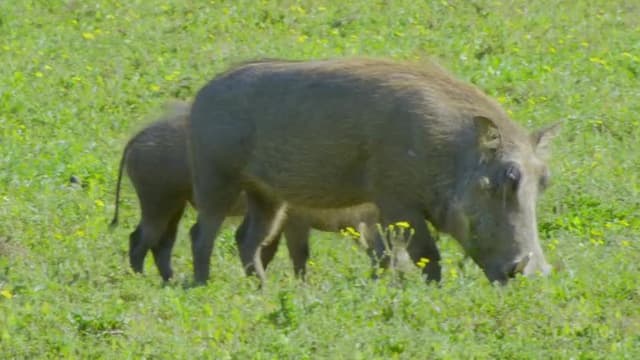 S01:E08 - La vida en las sobras