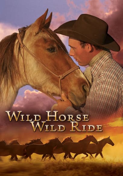 Wild Horse Wild Ride