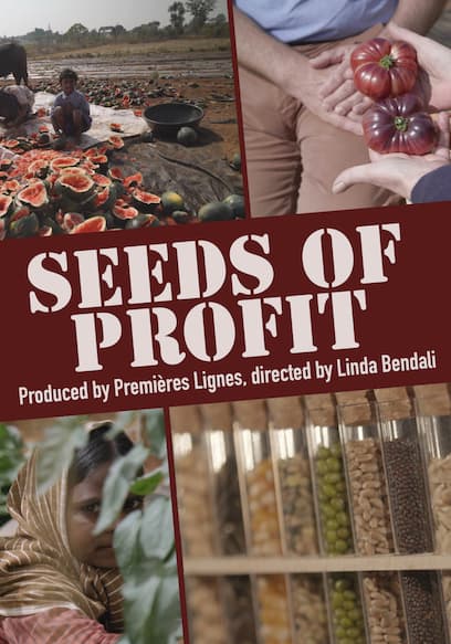 Seeds of Profit