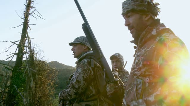 S05:E12 - Gobbling: California Turkeys