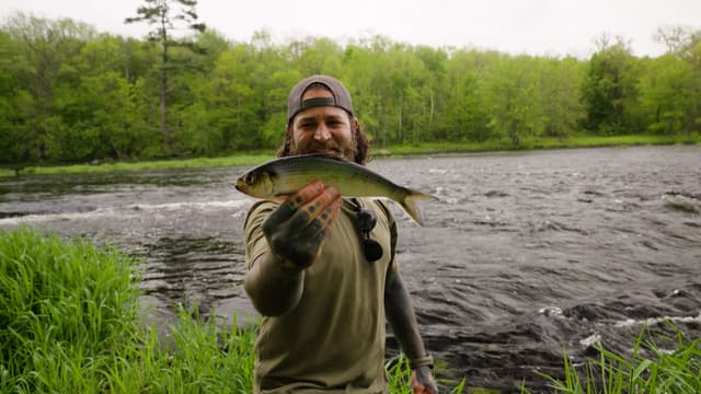 S03:E02 - Alewives and Birch Syrup