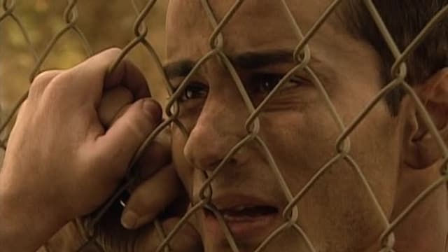 S02:E17 - It's a Miracle