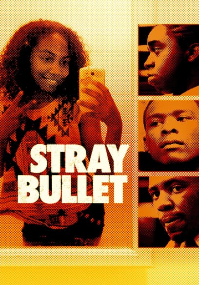 Stray Bullet