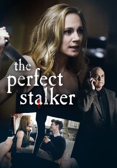 The Perfect Stalker