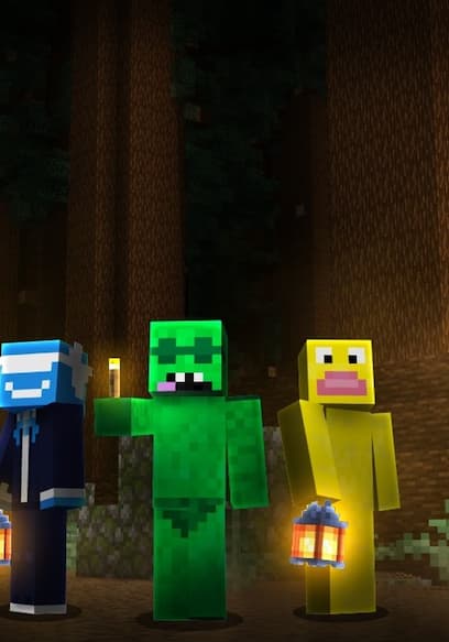 Póster de S01:E12 - CheapPickle Searches for Missing Friend in Forest