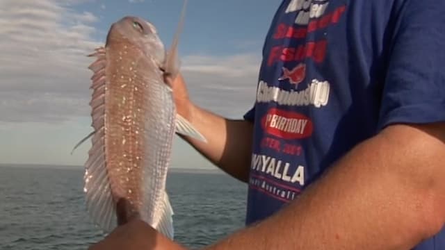 S01:É20 - S01:E20 - Hauraki Gulf & Bay of Islands