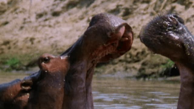 S01:E16 - Grandes mordidas (Pt. 2)